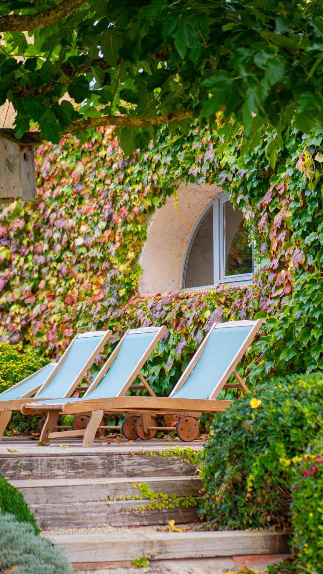 Bed and Breakfast Propriete Le Monneton Sainte-Christie Экстерьер фото